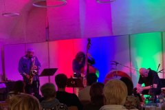 Chico Freeman Exotica Trio Chico Freeman Exotica Trio